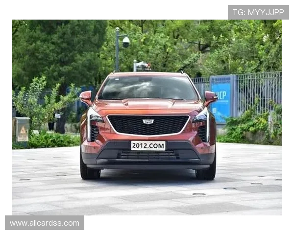 通过吉祥坊体育平台官网轻松获取全球各大体育赛事的最新资讯和精彩回放