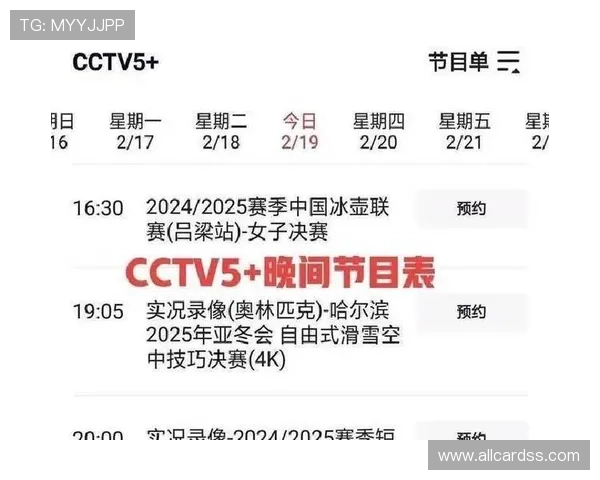 BTI体育网页版赛事直播体验优化指南，提升观看流畅度与互动体验的实用建议