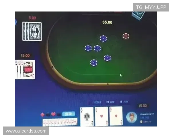 多样化炸金花网页版入口选择，满足不同玩家的个性化需求
